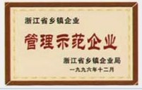 㽭ʡlIʾIC